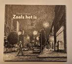 Floris Tilanus - Zoals het is - hardcover nieuwstaat, Boeken, Kunst en Cultuur | Beeldend, Ophalen of Verzenden, Nieuw, Schilder- en Tekenkunst
