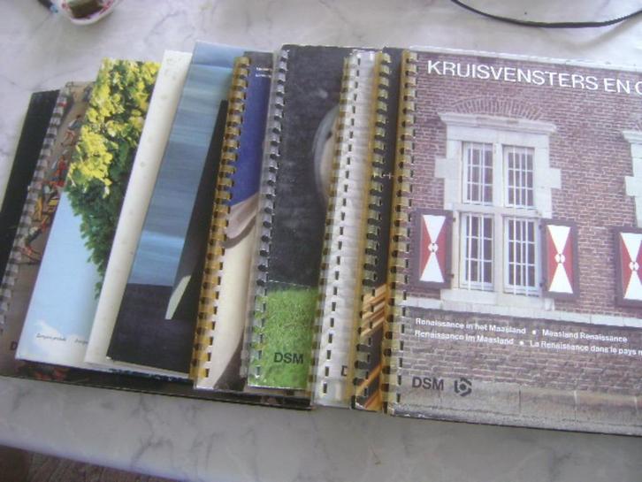 verzameling  10 DSM kalenders, Diversen, Kalenders, Gebruikt, Maandkalender, Ophalen of Verzenden