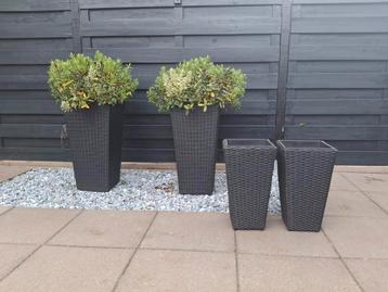 4 wicker gevlochten plantenbakken/ bloempotten  beschikbaar voor biedingen