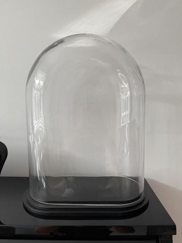 Stolp ovaal XL helder glas zwart houten plateau beschikbaar voor biedingen