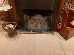 Glazen haardscherm, Huis en Inrichting, Ophalen of Verzenden, Gebruikt, Inbouwhaard, Overige soorten