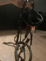 Hoofdstel met bit, Dieren en Toebehoren, Paarden en Pony's | Hoofdstellen en Tuigage, Ophalen