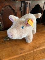 Steiff varken biggetje, Ophalen of Verzenden