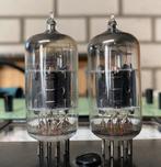 ECC82 Blackplate 12AU7, Ophalen of Verzenden