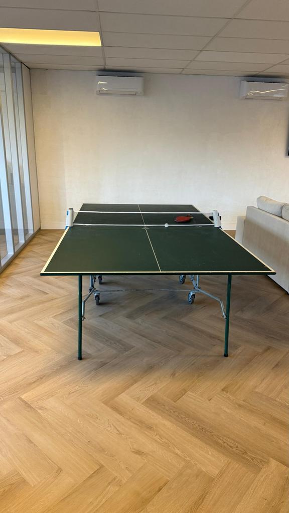 Tafeltennistafel - Plezier voor jong en oud!, Sport en Fitness, Tafeltennis, Gebruikt, Tafel Indoor, Inklapbaar, Ophalen