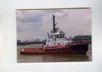scheepvaart-foto-SD shark, Ophalen of Verzenden, Zo goed als nieuw, Motorboot, Boek of Tijdschrift