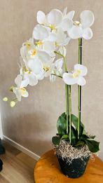 Kunst Orchidee, Binnen, Zo goed als nieuw, Ophalen