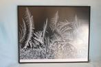 Foto van ijskristallen onder de microscoop in zwarte lijst, Ophalen of Verzenden, Zo goed als nieuw, Foto of Poster, Minder dan 50 cm