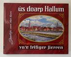 Ús doarp Hallum yn 'e tritiger jierren, Boeken, Geschiedenis | Stad en Regio, Ophalen of Verzenden, Zo goed als nieuw