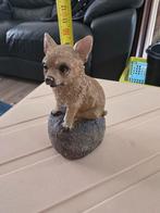 Schattig Chihuahua Beeldje, Ophalen of Verzenden, Zo goed als nieuw, Kunststof, Dierenbeeld
