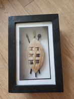 Traditioneel Zulu Schild in Lijst, Antiek en Kunst, Kunst | Niet-Westerse kunst, Ophalen of Verzenden