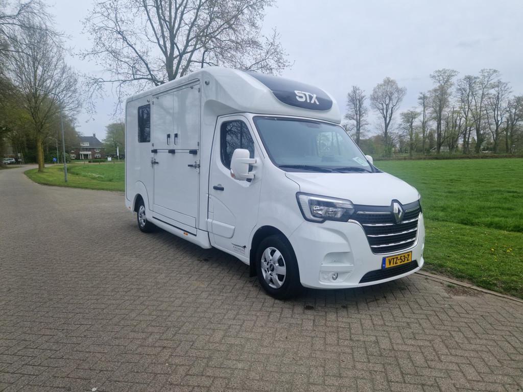 Renault Master STX S3 Pro-Safety hengsten uitvoering paarden, Dieren en Toebehoren, Paarden en Pony's | Trailers en Aanhangwagens