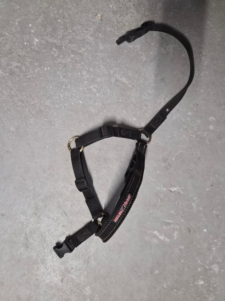 Mazter tuig riem, Ophalen of Verzenden