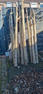 Boomstammen recht, Ophalen of Verzenden, Minder dan 180 cm, Palen