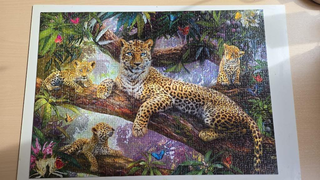 puzzel, Ophalen of Verzenden, 500 t/m 1500 stukjes, Zo goed als nieuw