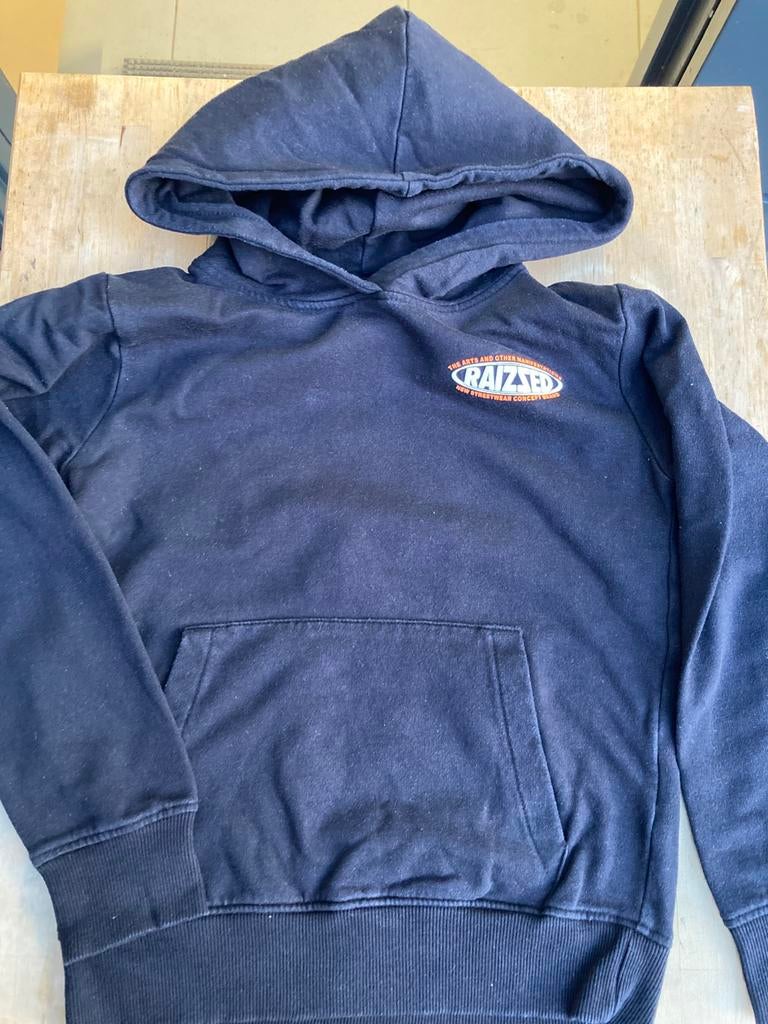 Raizzed hoodie maat 128, Kinderen en Baby's, Kinderkleding | Maat 128, Ophalen of Verzenden, Zo goed als nieuw, Jongen, Trui of Vest