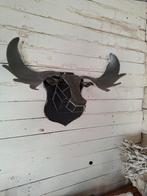 Ijzeren gewei eland, Verzamelen, Ophalen of Verzenden