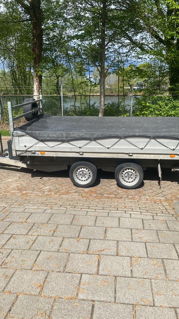 Saris eletrische kipper, Ophalen of Verzenden, Zo goed als nieuw