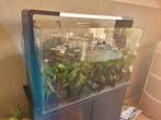 Aquarium Superfish home 110, Dieren en Toebehoren, Vissen | Aquaria en Toebehoren, Ophalen, Leeg aquarium
