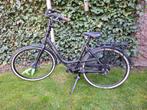 Gazelle Bloom C7 moederfiets, Ophalen, 2 zitjes, Versnellingen, Gazelle