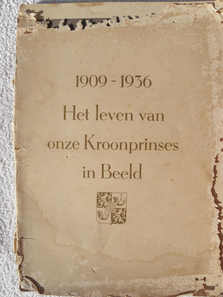 1909-1936 Het Leven Van Onze Kroonprinses Juliana In Beeld, Verzamelen, Koninklijk Huis en Royalty, Ophalen of Verzenden, Gebruikt