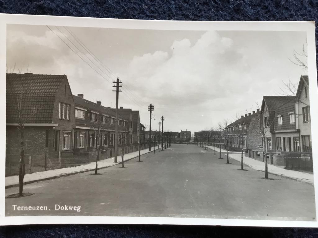 Oude Ansichtkaart Terneuzen Dokweg, Ophalen of Verzenden, 1920 tot 1940, Gelopen, Zeeland