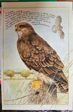 125 vellen Marjolein Bastin vogels en bloemen, Ophalen of Verzenden, Zo goed als nieuw, Vogel, Overige typen