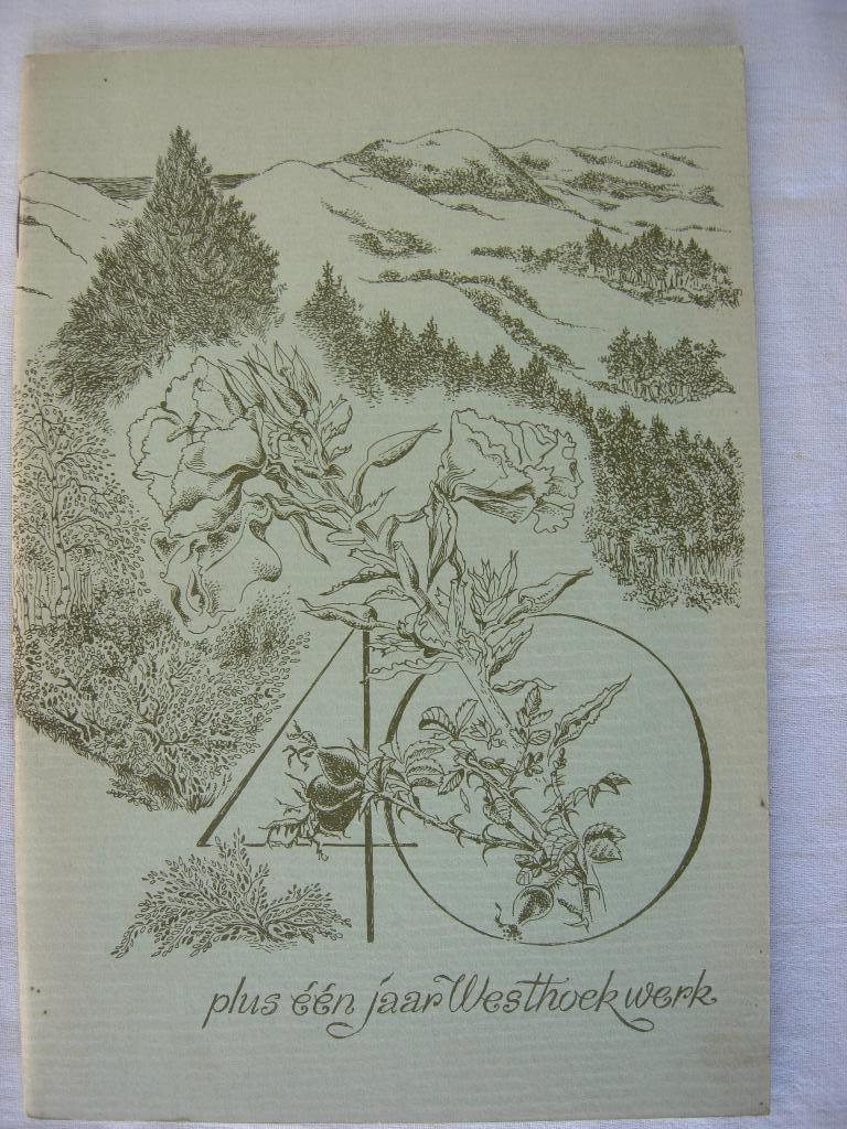 Doornekamp Nico Lysen 40 plus een jaar Westhoek werk, Boeken, Verzenden, Gelezen, Overige onderwerpen, Henk Doornekamp en Nico Lysen