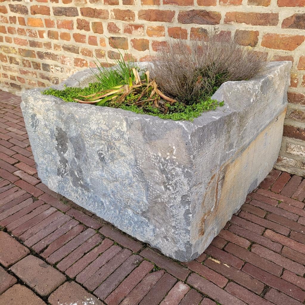 Grote natuurstenen plantenbak kruiden bloemen waterpartij, Tuin en Terras, Bloembakken en Plantenbakken, Ophalen