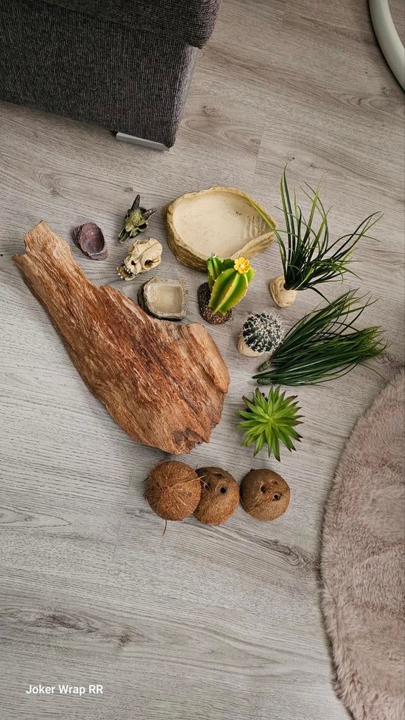 Terrariumaccessoires, alleen groothandel., Ophalen of Verzenden