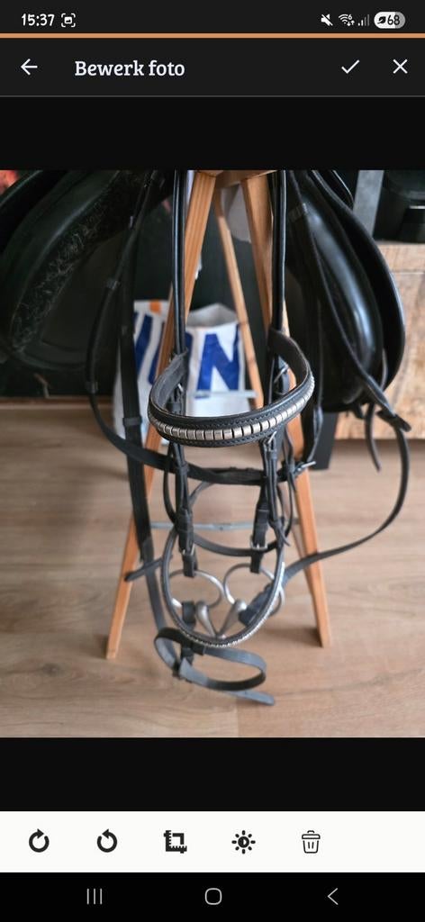 Hoofdstel, Dieren en Toebehoren, Paarden en Pony's | Hoofdstellen en Tuigage, Ophalen