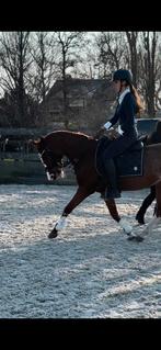 Bijrijd paard gezocht, Contacten en Berichten