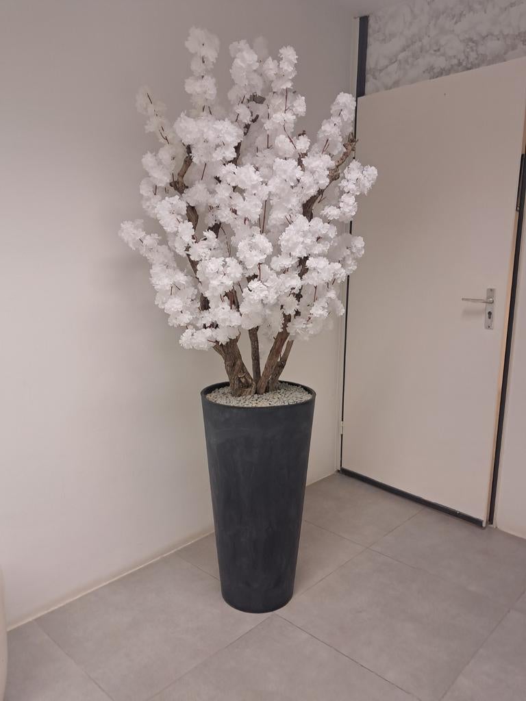 Nieuwe witte bloesemboom, Huis en Inrichting, Woonaccessoires | Kunstplanten en Kunstbloemen, Ophalen, Nieuw, Binnen