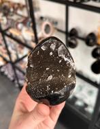 Prachtig donker septarie ei!, Ophalen of Verzenden