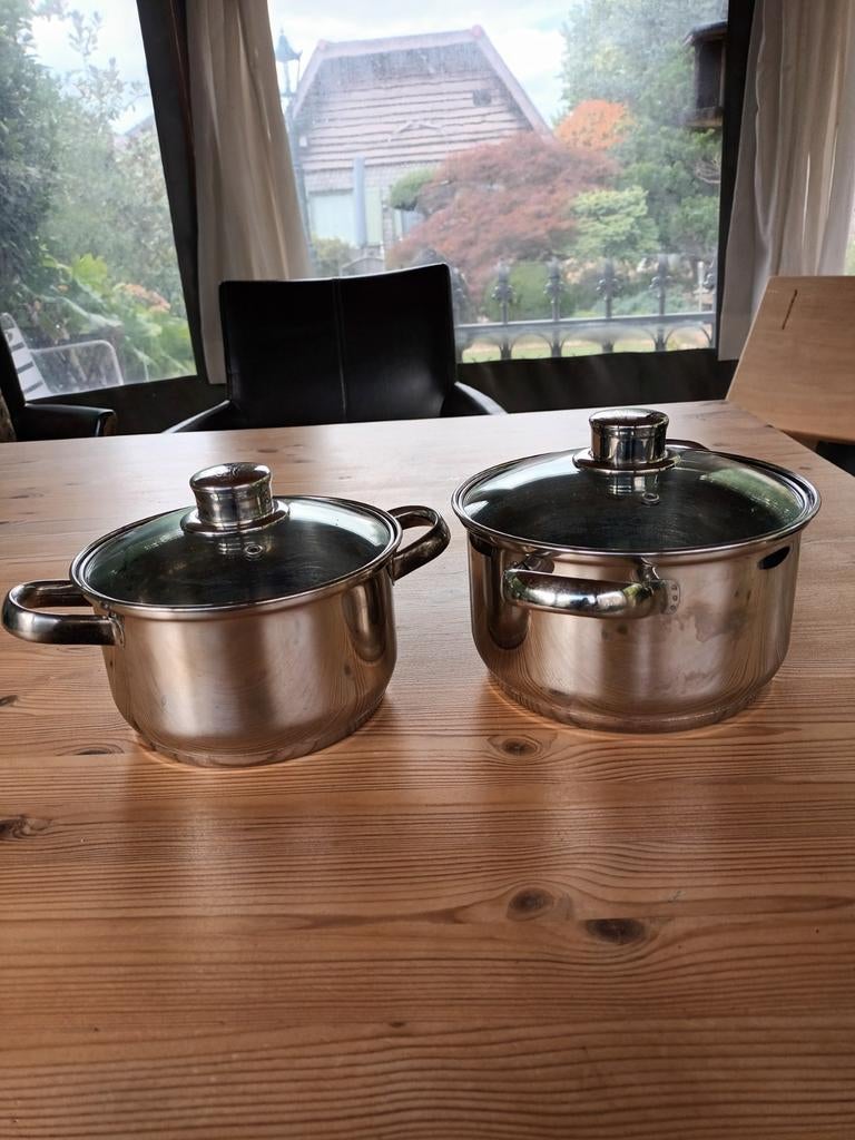 Set van 2 RVS pannen met glazen deksels, Ophalen