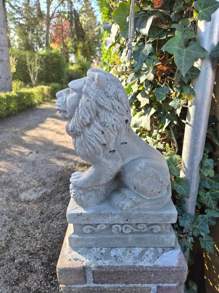 Stenen Leeuw Beeld - Tuindecoratie, Tuin en Terras, Ophalen, Gebruikt, Beton, Dierenbeeld