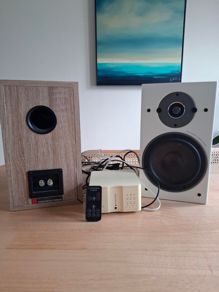 Dali Oberon 3 Boekenplankluidsprekers - incl versterker, Zo goed als nieuw, 60 tot 120 watt, Front, Rear of Stereo speakers, Ophalen