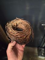 Vogelnest decoratie, Ophalen of Verzenden, Nieuw, Meerdere media