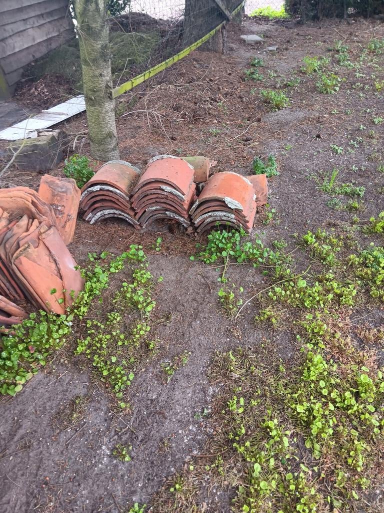 Oud Hollandse dakpannen, Ophalen, Gebruikt, Steen of Klei, 15 m² of meer