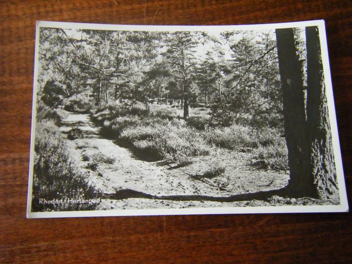 T37 - Rheden - Hertenpad - Mooi/Oud, Verzamelen, Ansichtkaarten | Nederland, Gelderland, 1940 tot 1960, Ophalen of Verzenden