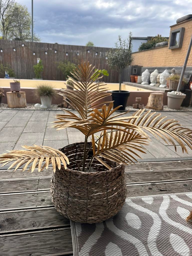 Leuke rieten mand en gouden palmplant, Ophalen, Zo goed als nieuw, Rond, Minder dan 30 cm