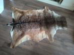 Rendier huid, kleed, 100 tot 150 cm, Nieuw, Ophalen of Verzenden, 150 tot 200 cm