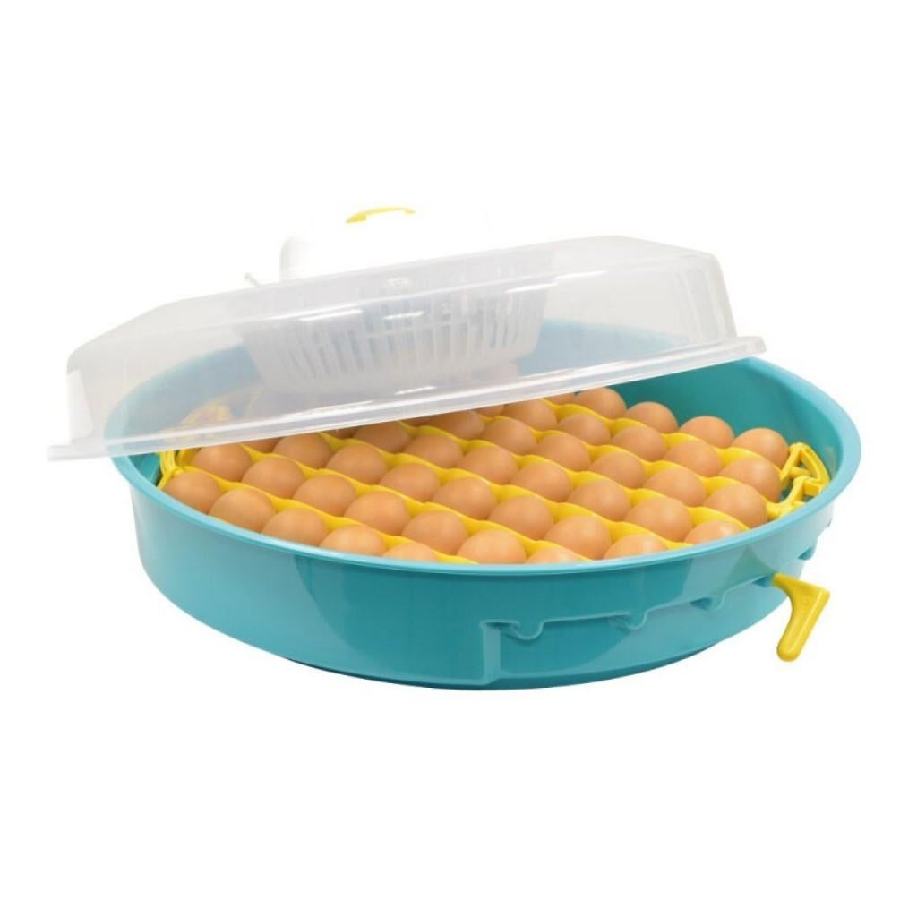 budget broedmachine: Koopzondag Kippenshop Jordi, Dieren en Toebehoren, Pluimvee | Toebehoren, Ophalen of Verzenden, Nieuw, Broedmachine