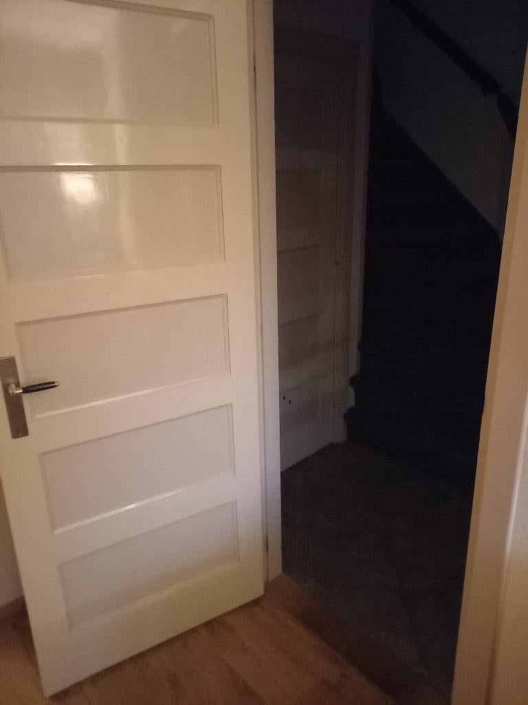 2 Paneel deuren, Doe-het-zelf en Verbouw, Ophalen, Gebruikt, Minder dan 80 cm, Binnendeur