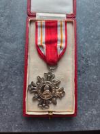 Pauselijke onderscheiding pro ecclesia et Pontifice, Ophalen of Verzenden, Zilver