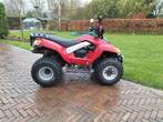 Sym quad 250 cc met topkoffer trekhaak en autokenteken, Ophalen
