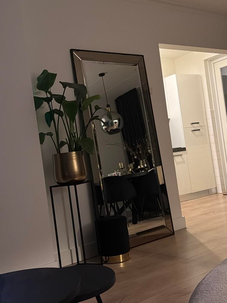 Grote spiegel in Eric Kuster stijl, Huis en Inrichting, Woonaccessoires | Spiegels, Ophalen, 200 cm of meer, Zo goed als nieuw