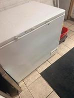 Liebherr GTS 3012 Index 25A / 001 Vrieskist - 299L, Witgoed en Apparatuur, Vriezers en Diepvrieskisten, Vrieskist, Gebruikt, Vrijstaand