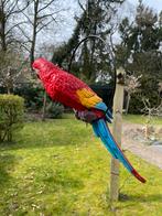Papegaai boomstam beeld tuin huis vogel jungle, Ophalen, Nieuw, Kunststof, Dierenbeeld