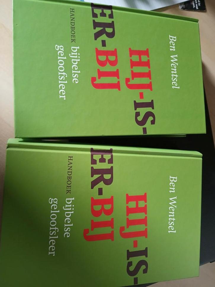 Handboek Bijbelse Geloofsleer - Ben Wentsel, Boeken, Godsdienst en Theologie, Gelezen, Christendom | Protestants, Ophalen of Verzenden